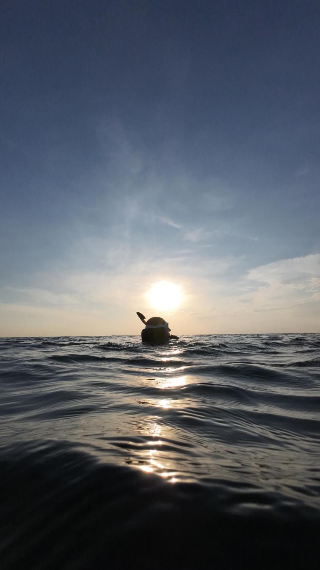 Mangrove Inn Karimunjawa Bagian luar foto