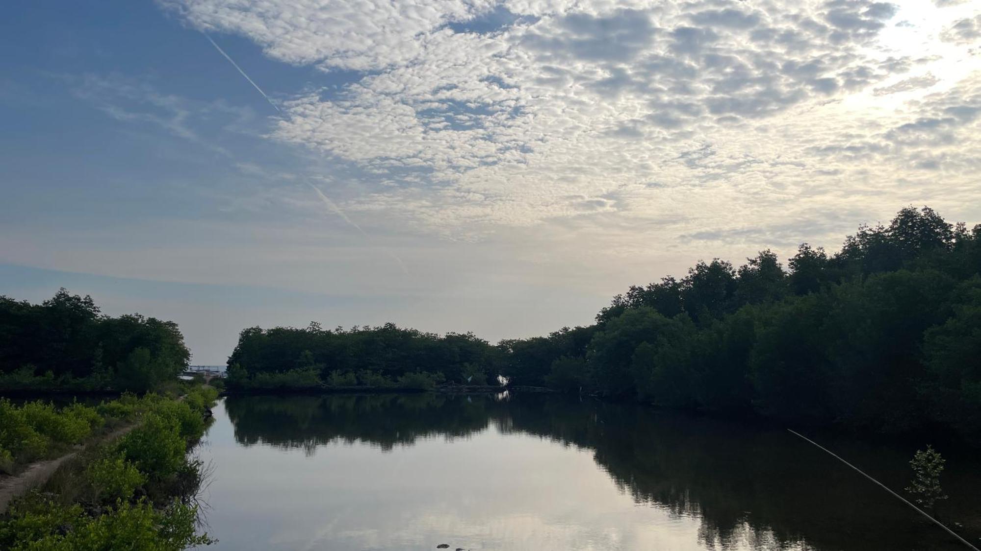 Mangrove Inn Karimunjawa Bagian luar foto