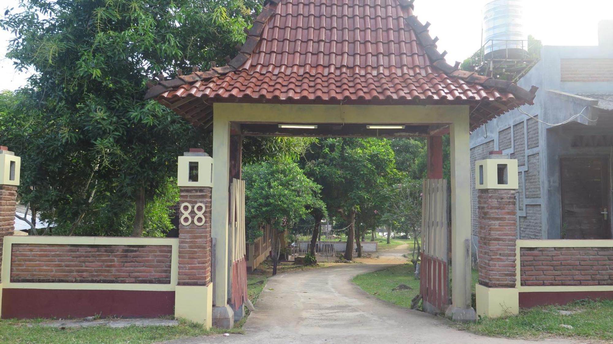 Mangrove Inn Karimunjawa Bagian luar foto