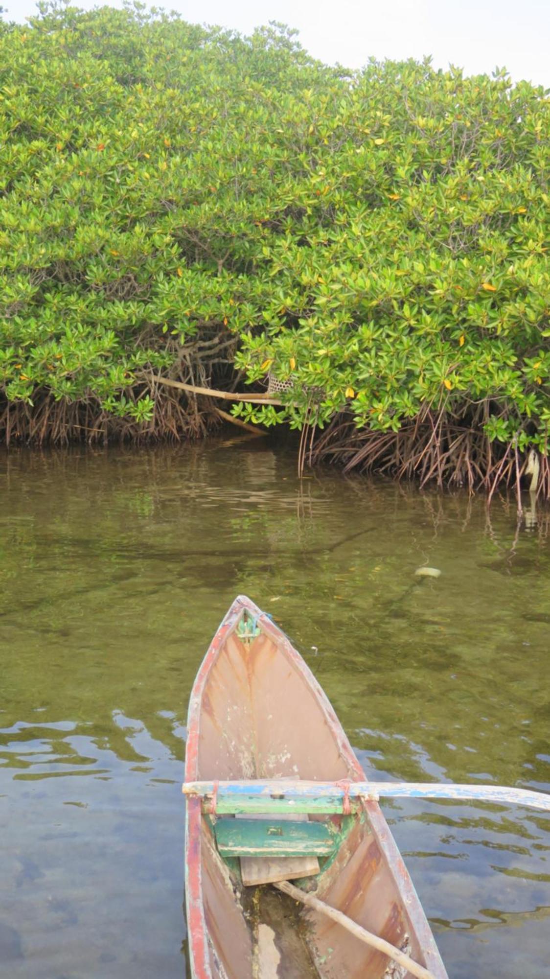 Mangrove Inn Karimunjawa Bagian luar foto