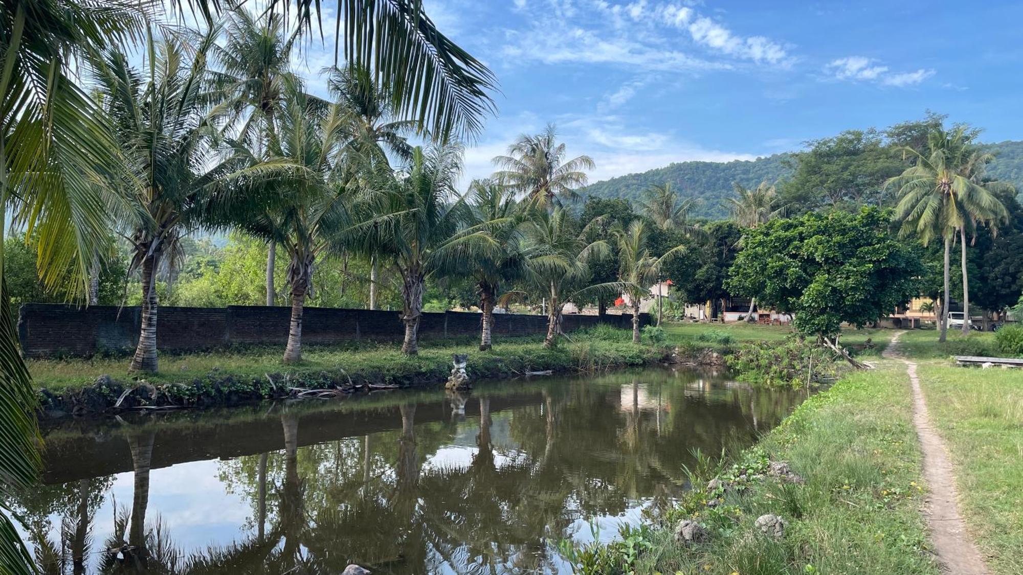 Mangrove Inn Karimunjawa Bagian luar foto