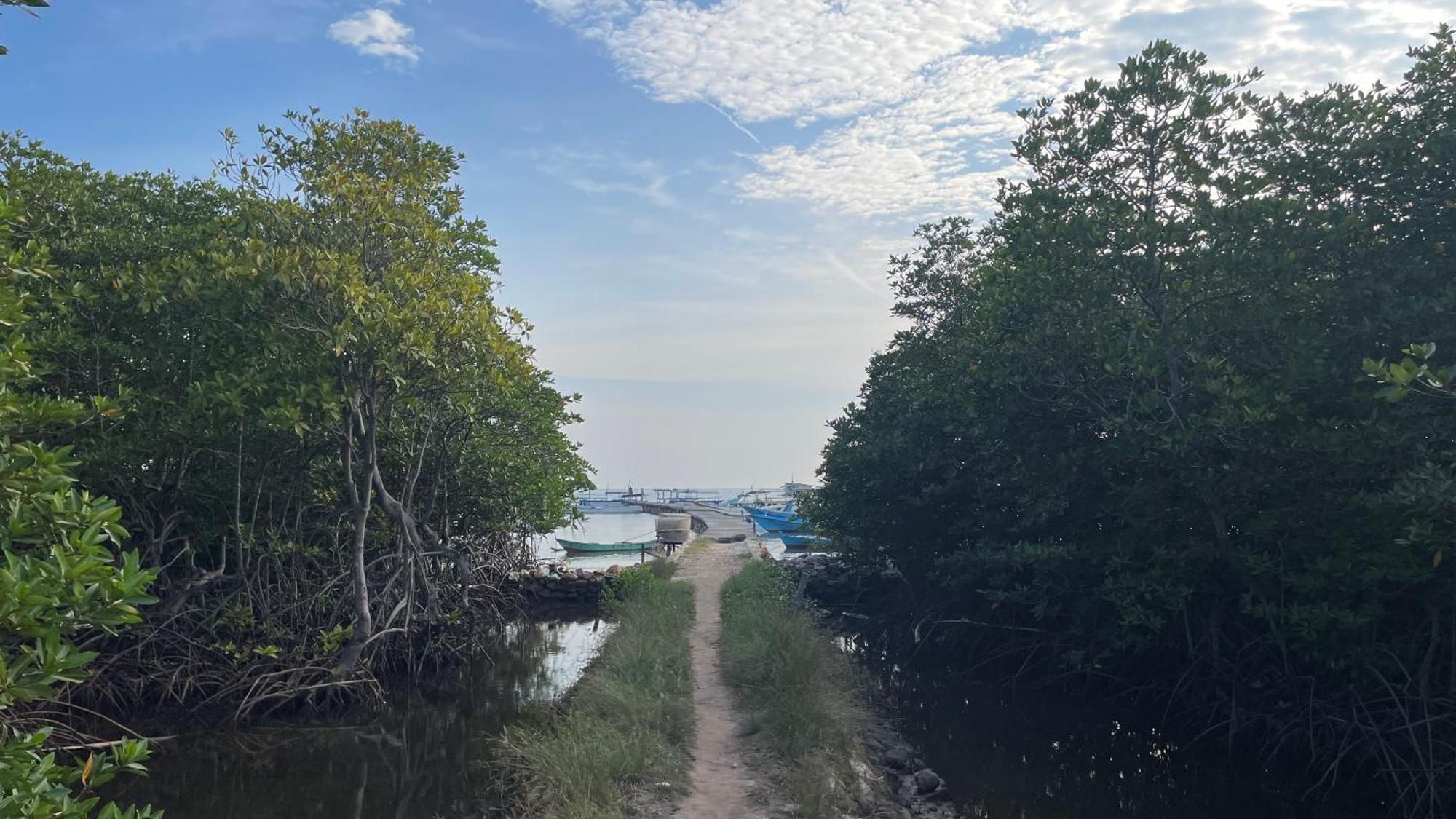 Mangrove Inn Karimunjawa Bagian luar foto