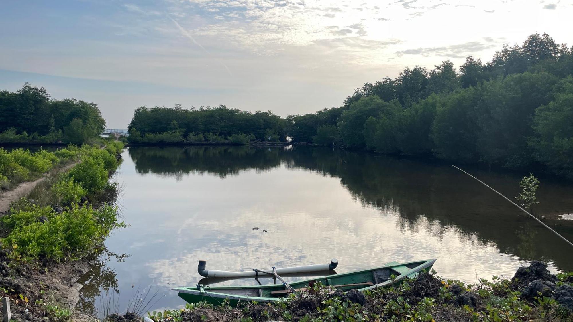 Mangrove Inn Karimunjawa Bagian luar foto