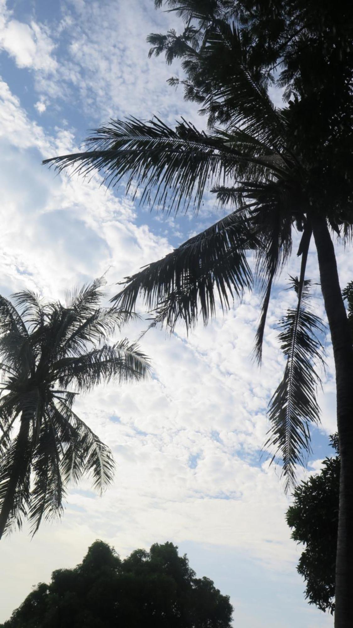 Mangrove Inn Karimunjawa Bagian luar foto