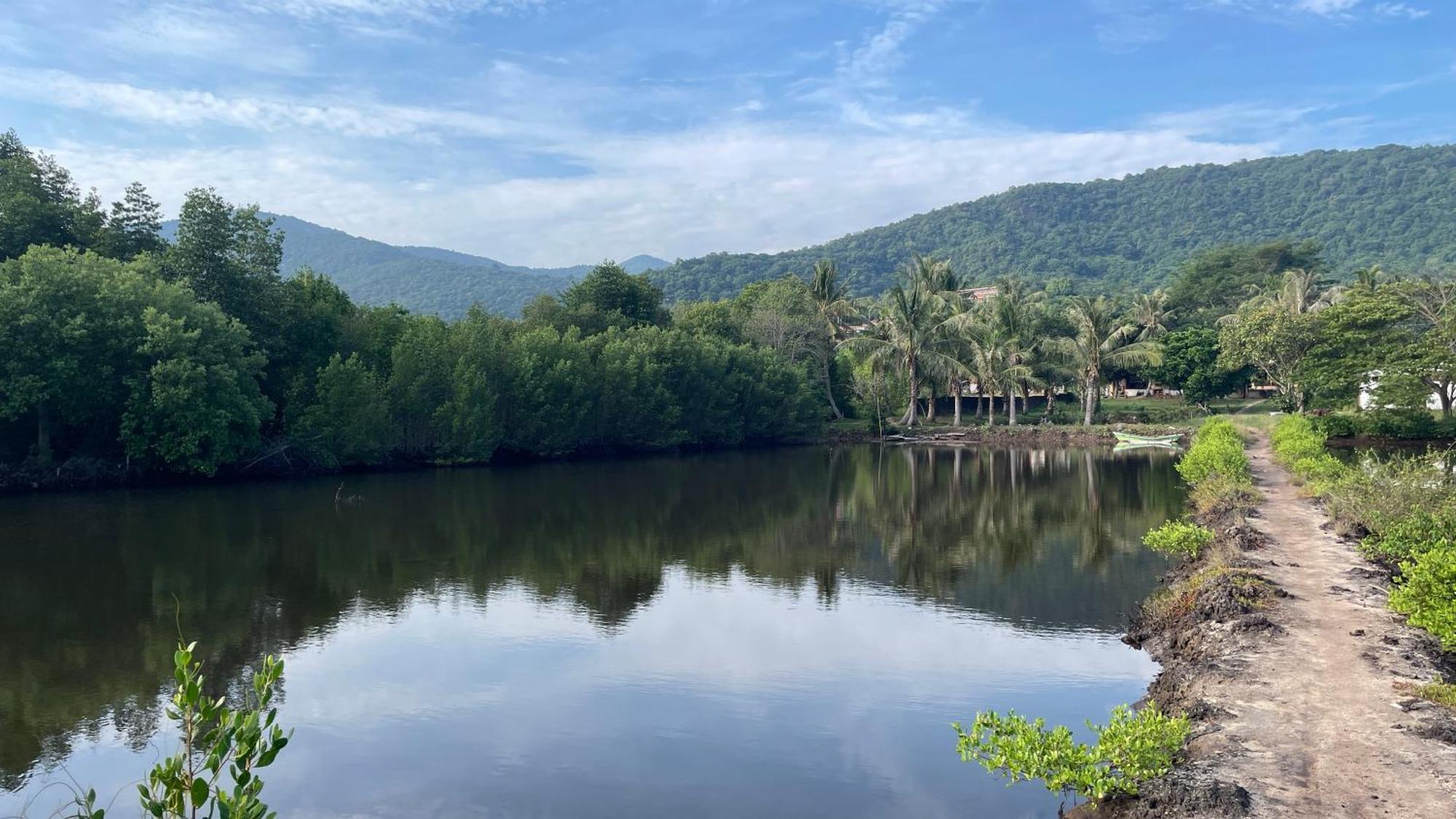 Mangrove Inn Karimunjawa Bagian luar foto