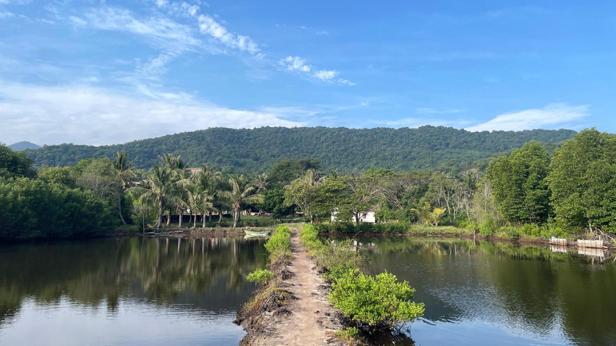 Mangrove Inn Karimunjawa Bagian luar foto