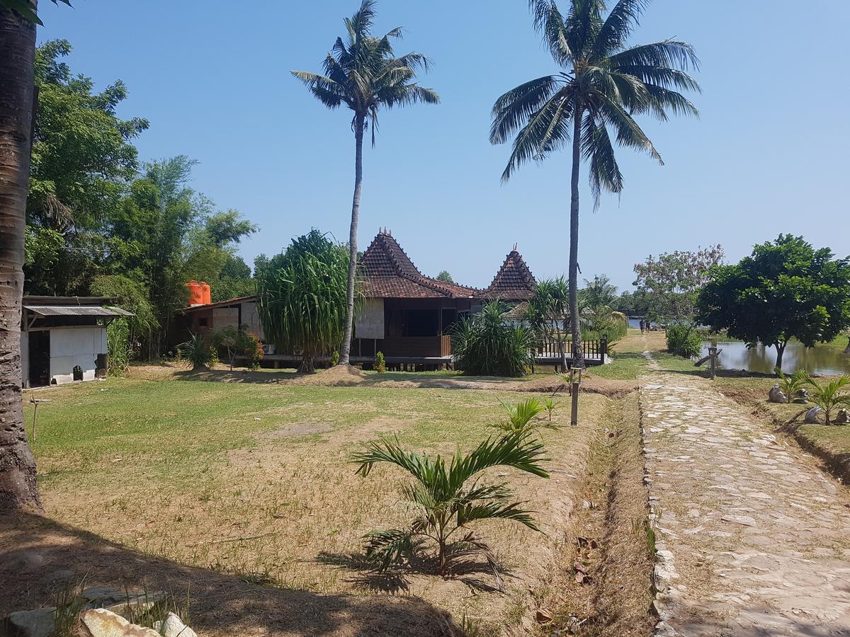 Mangrove Inn Karimunjawa Bagian luar foto